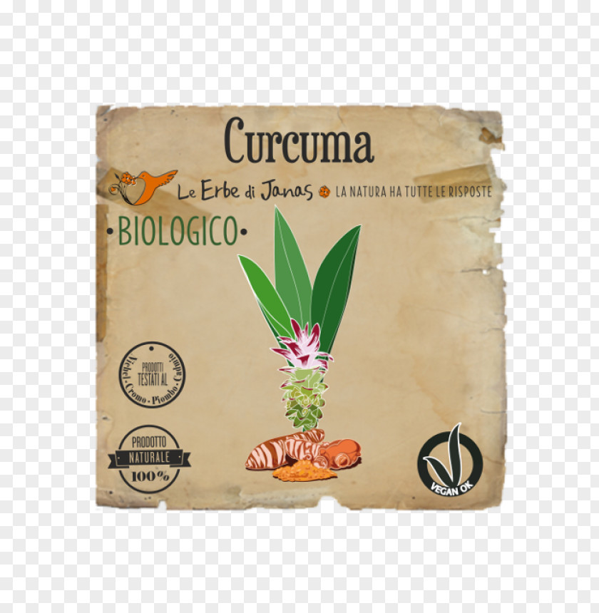 Curcuma Turmeric Henna Herb Cosmetics Vegetable Oil PNG