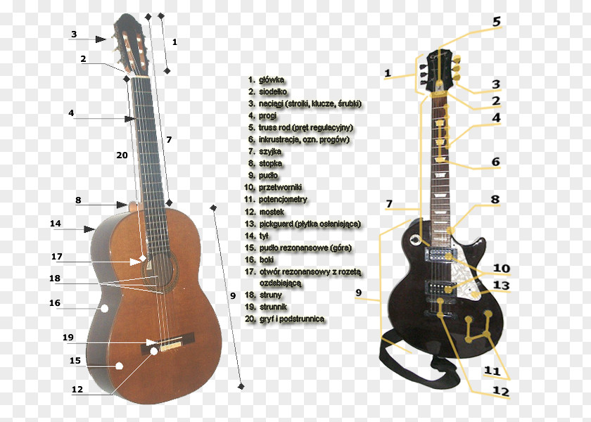 Electric Guitar Seven-string Classical Acoustic PNG