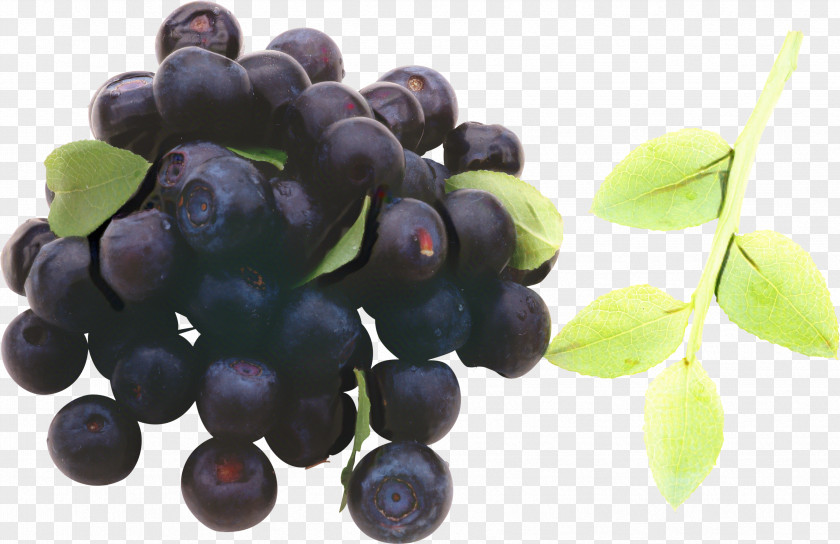 Flower Superfruit Grape Cartoon PNG