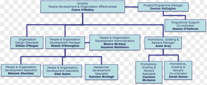 People Development Organizational Effectiveness Human Resource Chart PNG