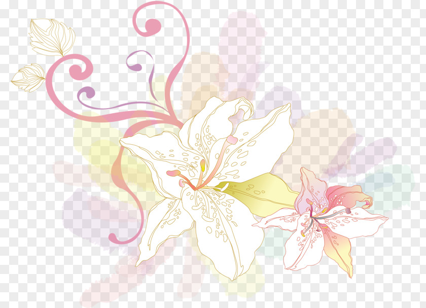 Pink Lily Floral Design Flower Download PNG