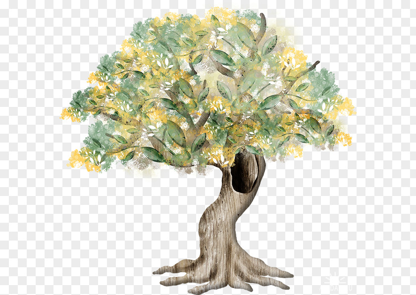 Spring Tree Hollow Drawing PNG