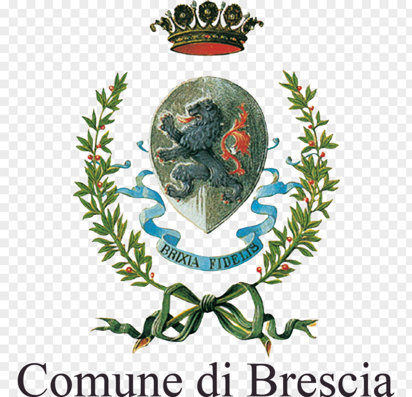 VanGogh Corte Franca Scaip Brescia Medicus Mundi Voluntary Association PNG