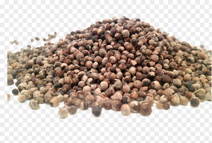 Vitex Seed Chaste Tree Herb Anaphrodisiac Verbenas PNG