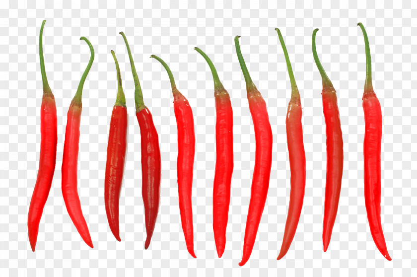 A Row Of Red Pepper Tabasco Cayenne Chili PNG