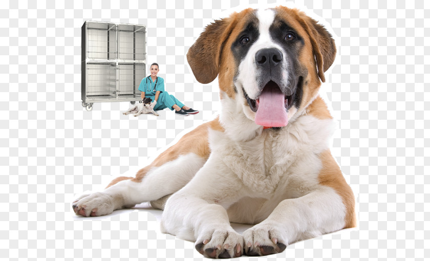 Bed St. Bernard Pet Cat Kennel PNG