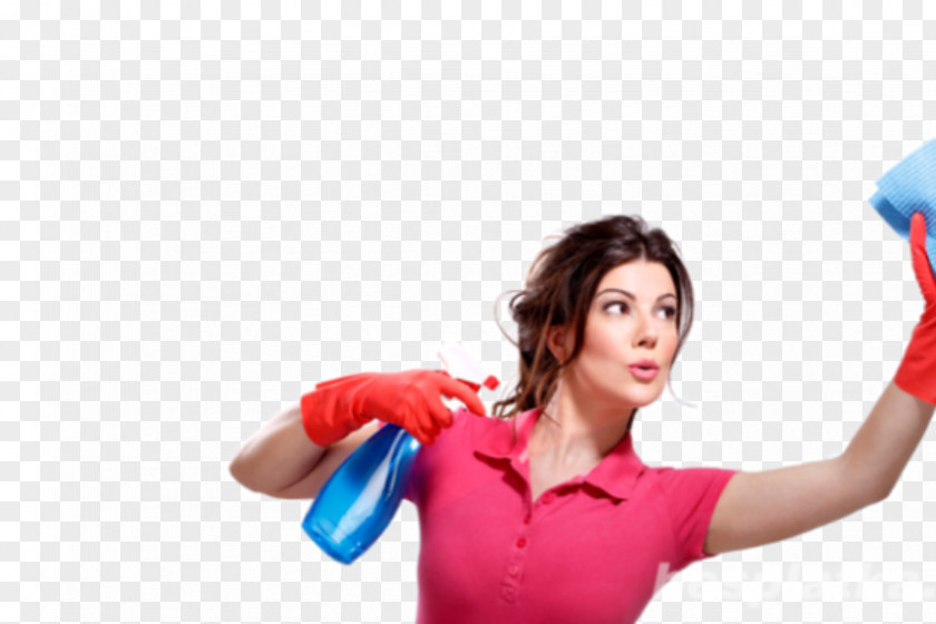 CLEANING LADY Cleaner Maid Service Cleaning Joyce Darden Services PNG