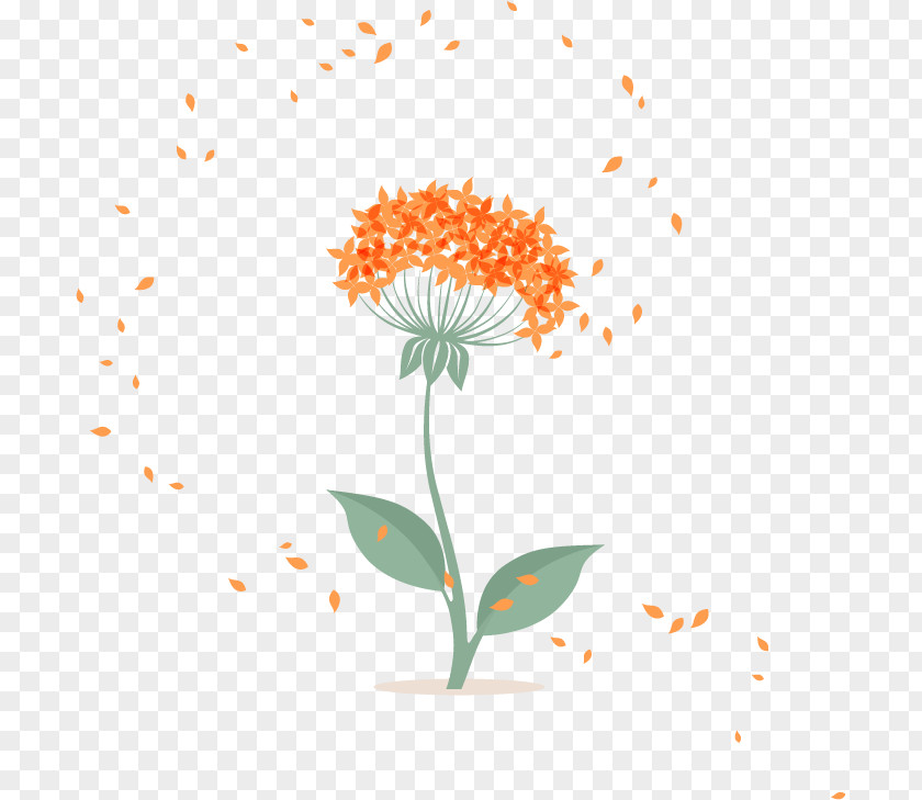 Dandelion Petals Vector Flower Petal Floral Design Euclidean PNG