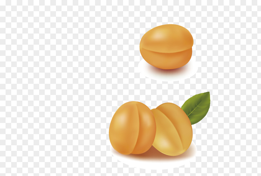 Delicious Apricots Apricot PNG