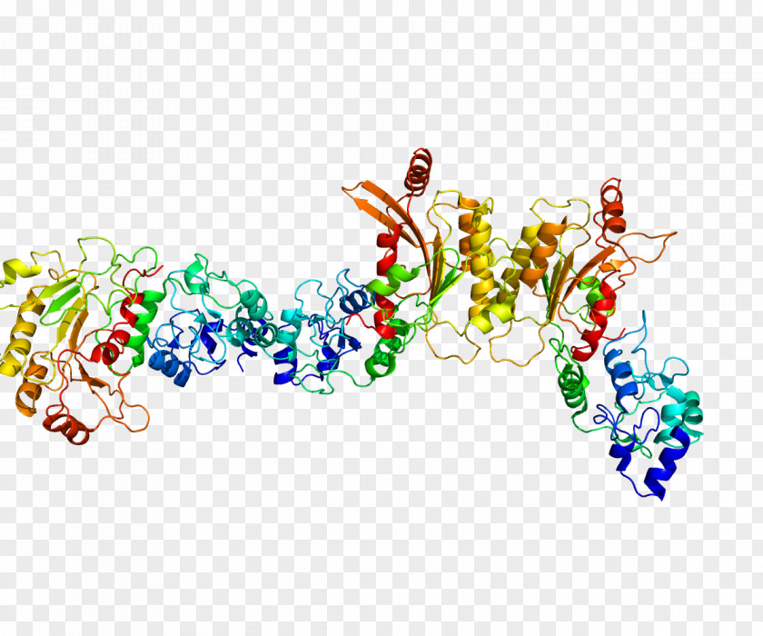 DNA Methyltransferase DNMT3L Protein Methylation Enzyme PNG