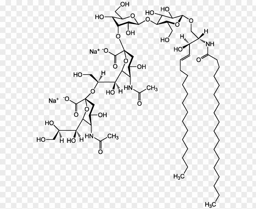 Ganglioside GM1 Lipid Nervous System Long Tail Keyword PNG