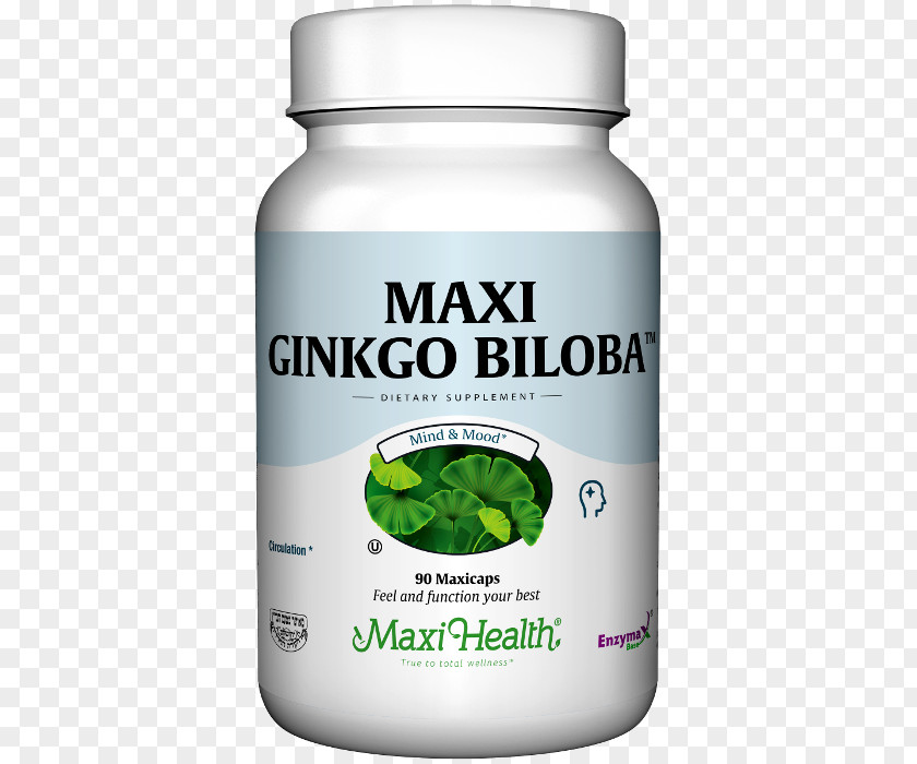 Ginkgo-biloba Dietary Supplement Product Service Plants PNG
