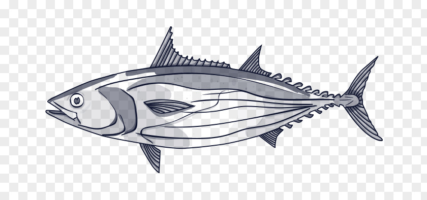 Scombridae Rayfinned Fish Cartoon PNG
