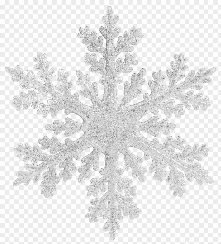 Snowflakes Snowflake Christmas PNG