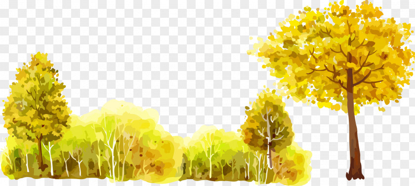 Tree-painting Cartoon Forest Trees Tree Oil Painting PNG