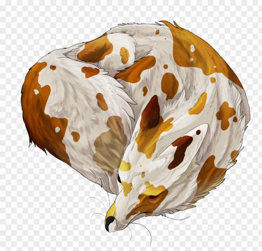 Uncommon Food Snout PNG