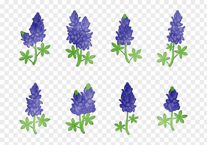 Bluebonnet Purple Lavender Cut Flowers Tree PNG