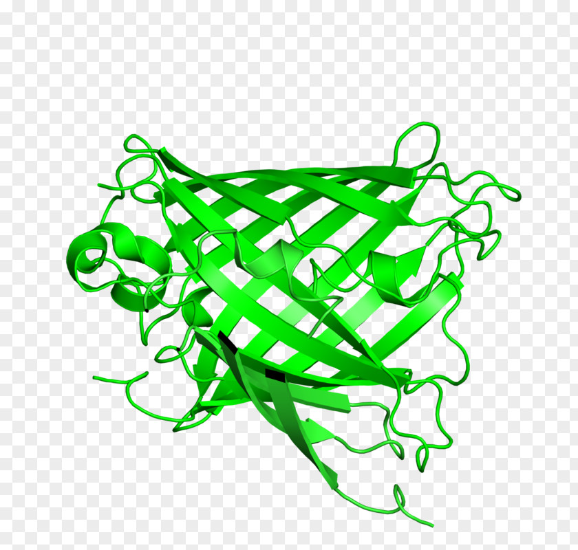 Fluorescent Leaf Line Art Green Clip PNG