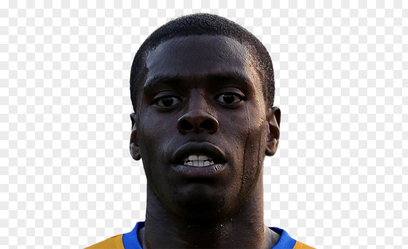 Premier League Oumar Niasse Hull City Stade De Reims Everton F.C. PNG