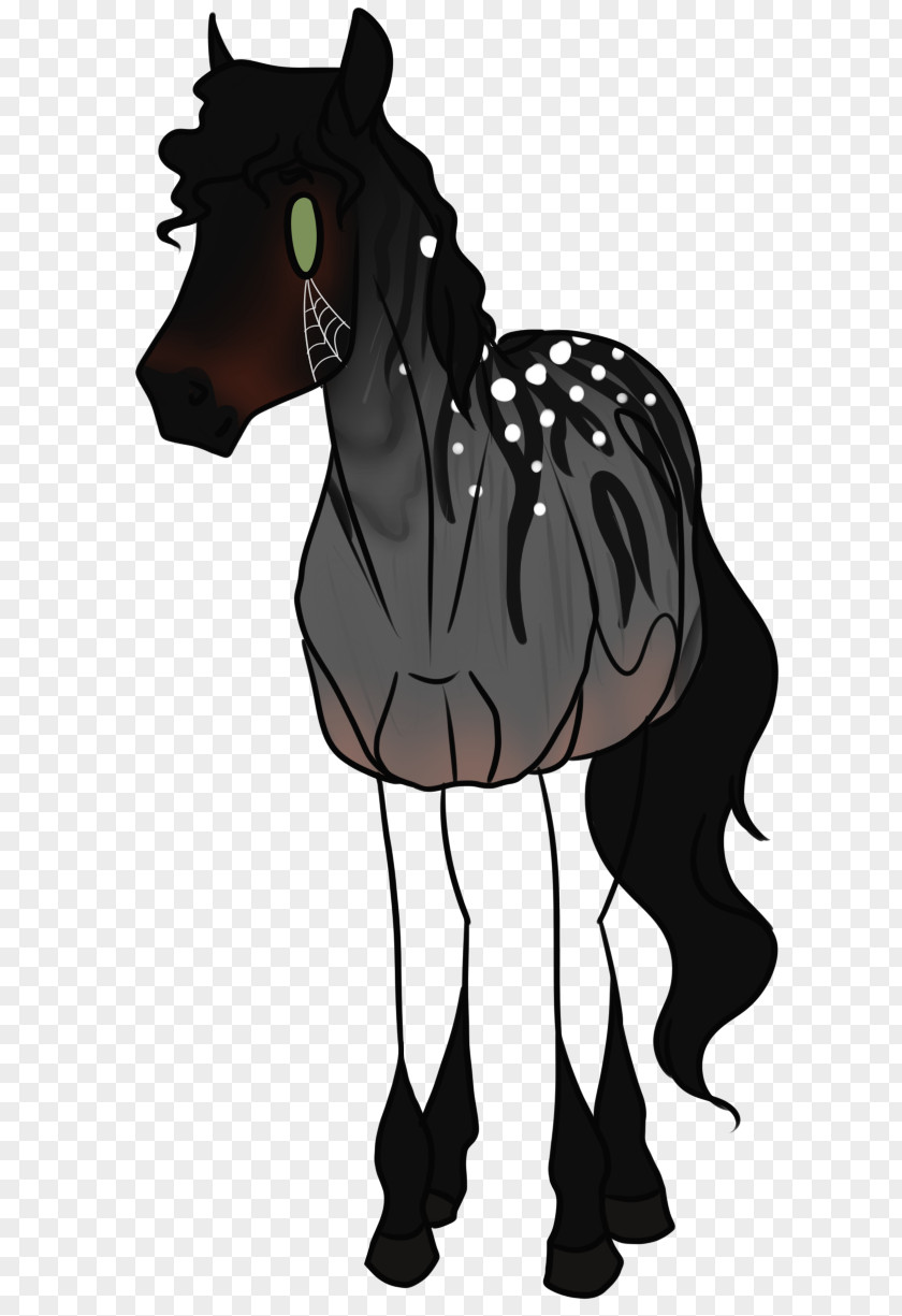 Prophet Foal Stallion Mule Mare Mustang PNG