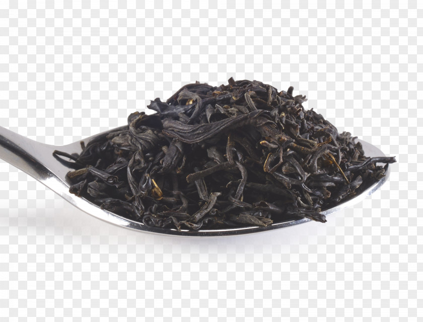 Tea Dianhong Nilgiri Darjeeling Assam PNG