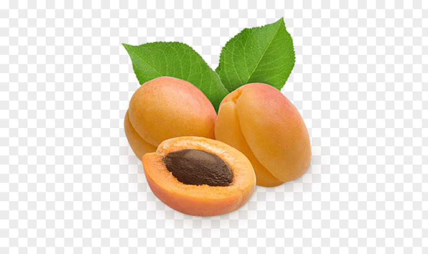 Apricot Fruit Berry Clip Art PNG