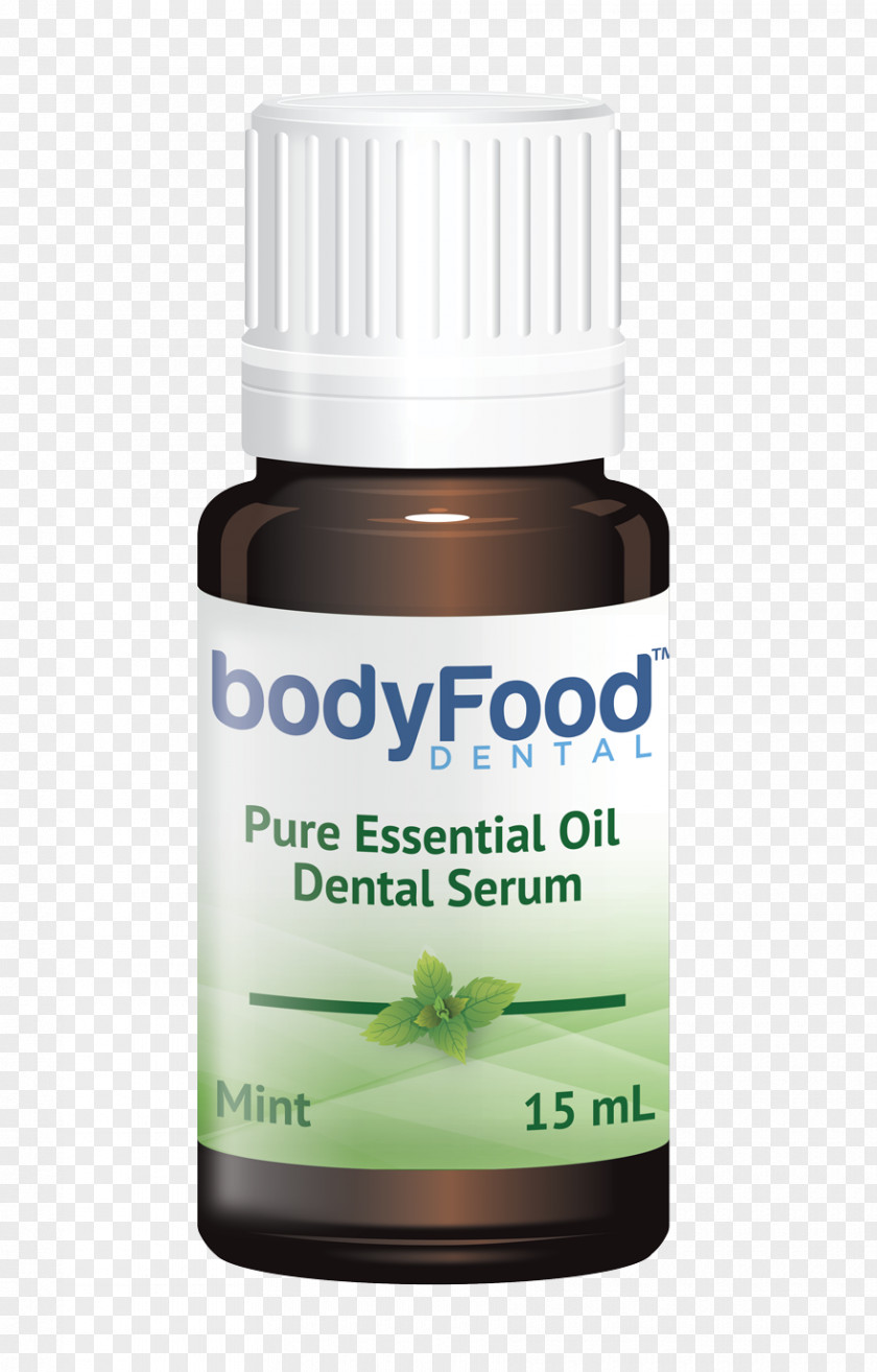 Dental Hygiene Peppermint Extract Food Herb PNG