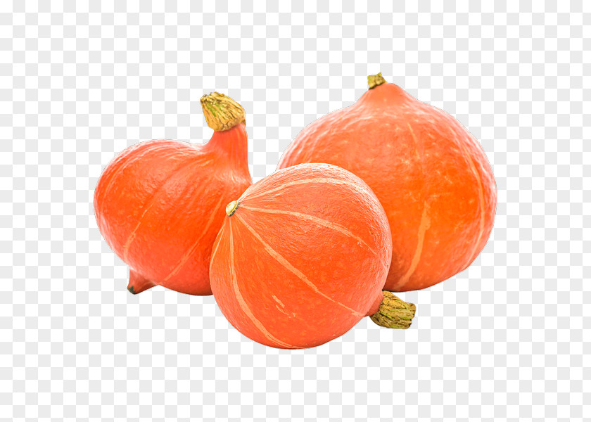 Euro Symbol Pumpkin Calabaza Gourd Winter Squash Red Kuri PNG