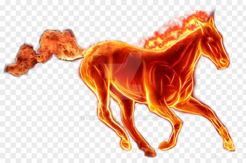 Fire Horse Stallion Clip Art PNG