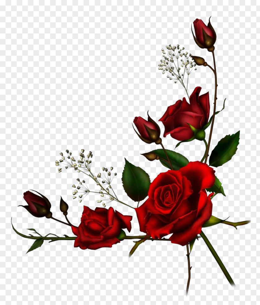 Bud Prickly Rose Floral Flower Background PNG