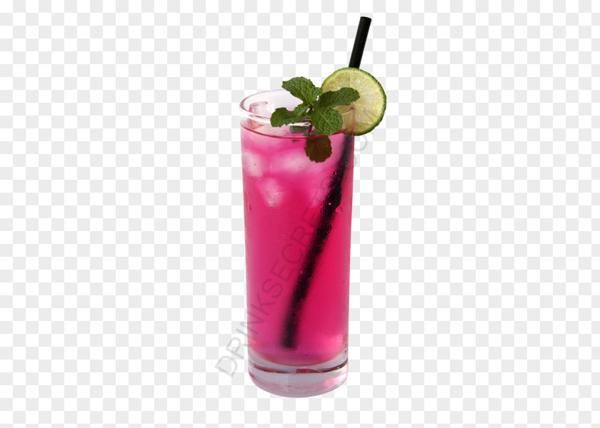 Cocktail Bay Breeze Sea Wine Garnish PNG