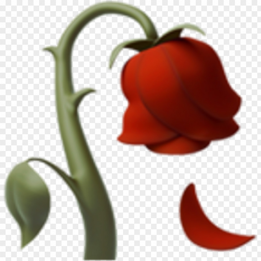 Emoji IPhone Sticker Rose PNG