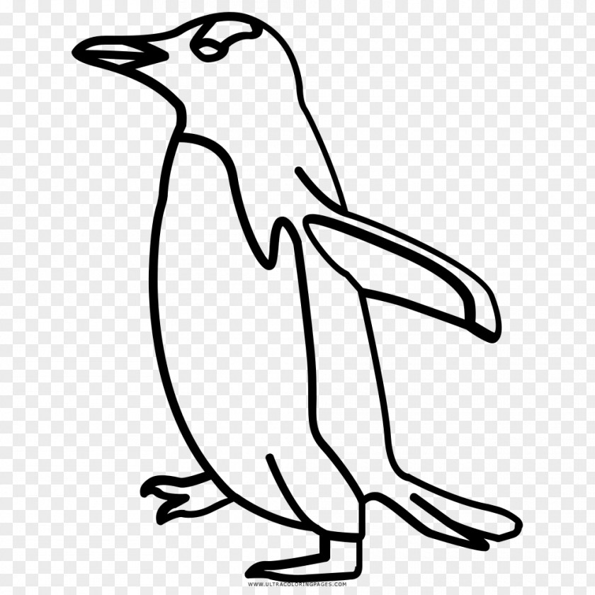 Penguin Bird Black And White Drawing PNG