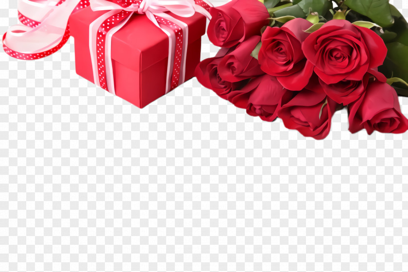 Valentines Day Rose Family Garden Roses PNG