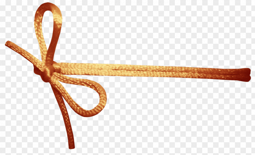 Bow Ribbon Silk Shoelace Knot PNG
