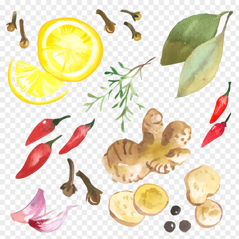 Fresh Fruits And Vegetables Image Ginger Thai Cuisine Illustration PNG