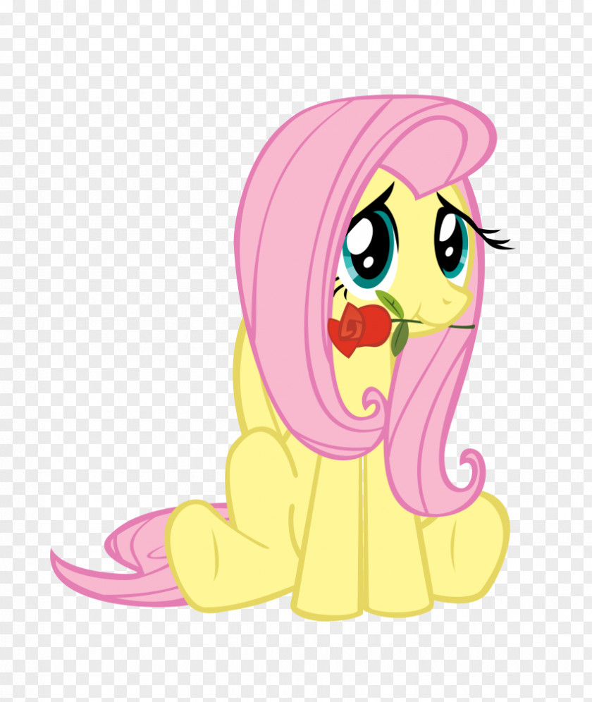 My Little Pony Fluttershy Pinkie Pie Applejack Rainbow Dash PNG