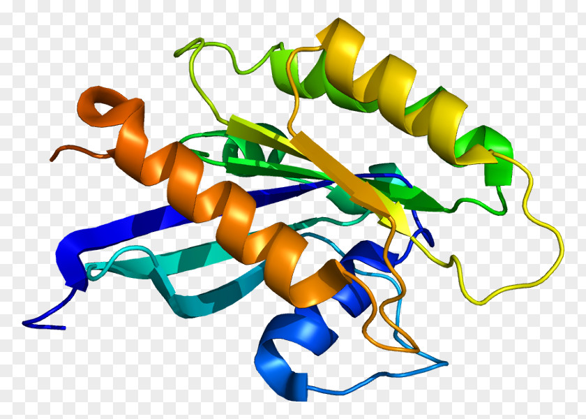 RAB18 Protein Structure Ras Subfamily PNG