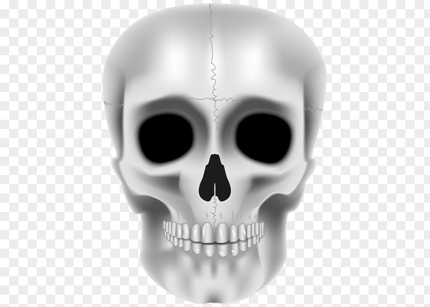 Skull Jaw Skeleton Product Design PNG