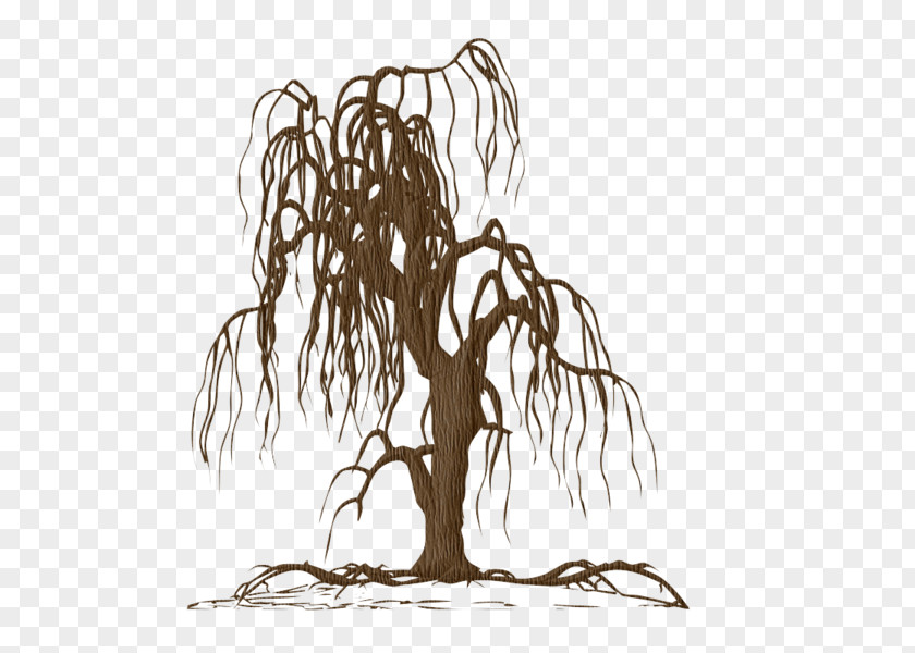 Tree Wall Decal Sticker Weeping Willow PNG