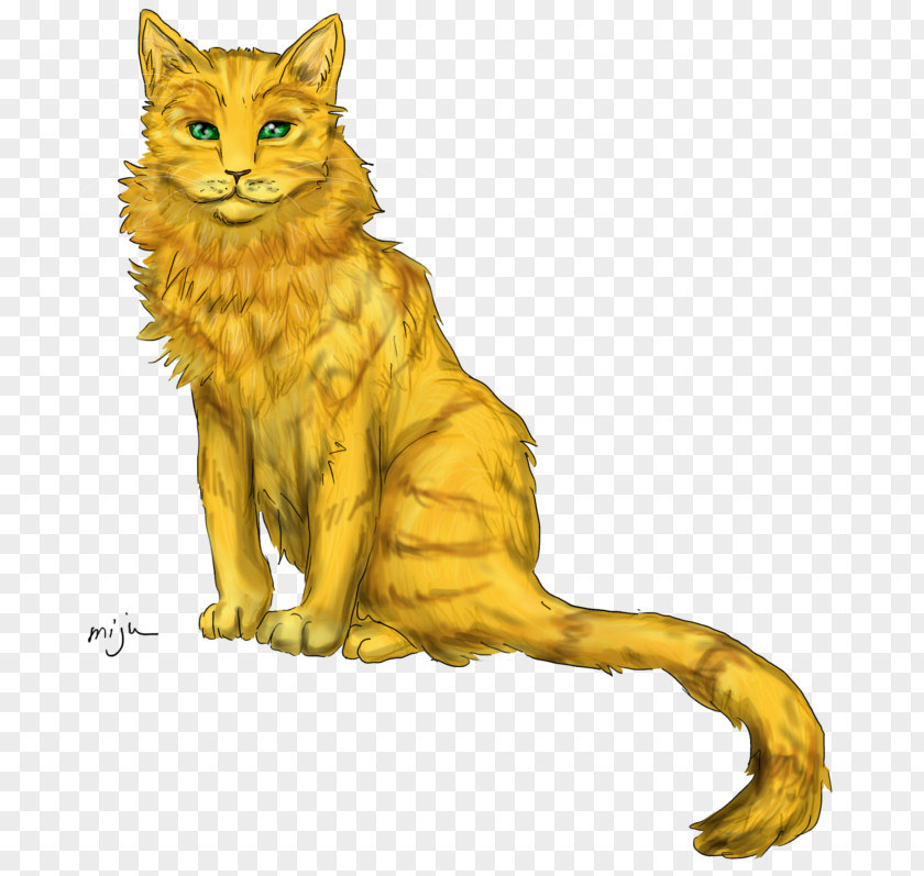 Cat Warriors Into The Wild Night Whispers Erin Hunter PNG