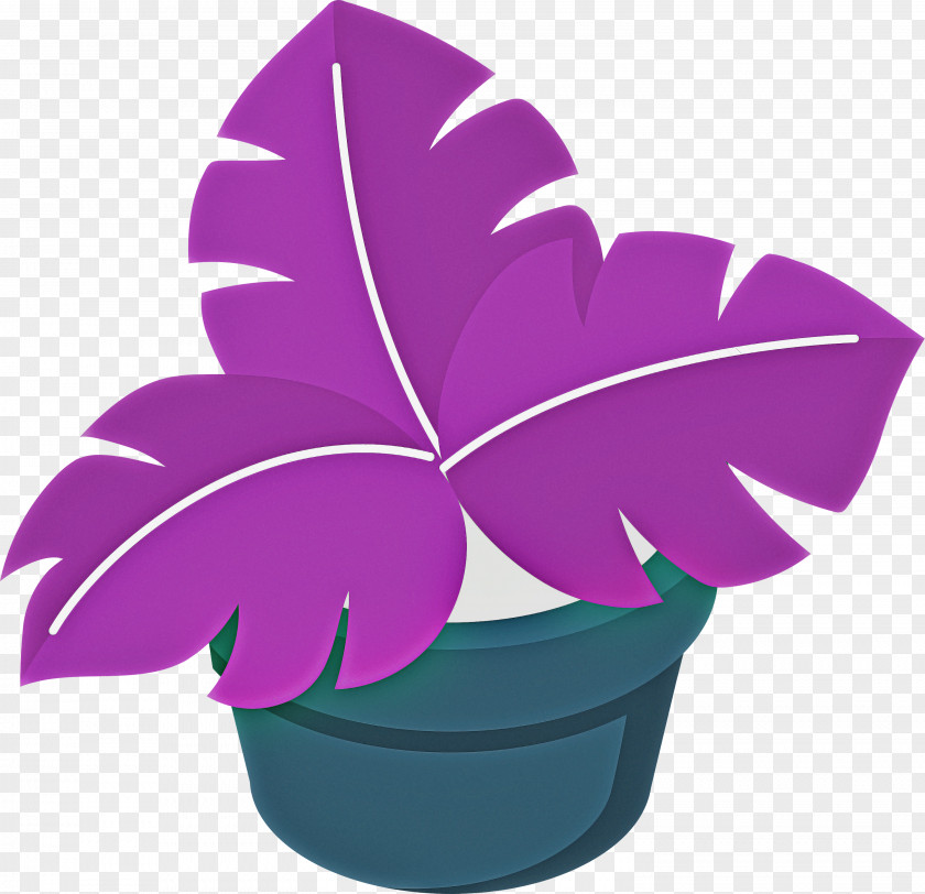 Leaf Plant Stem Flowerpot Petal Houseplant PNG