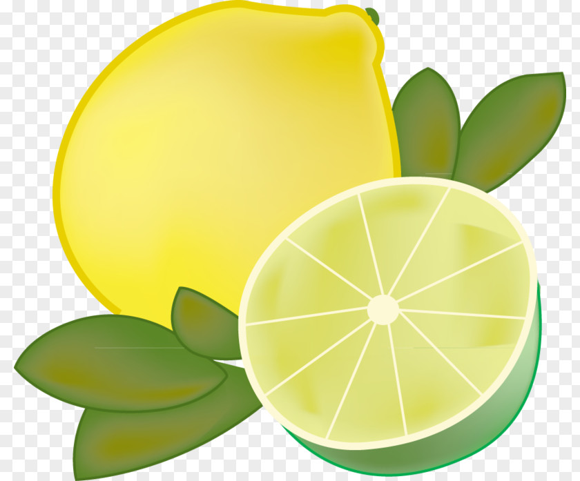 Lime Lemon-lime Drink Limeade Sour PNG