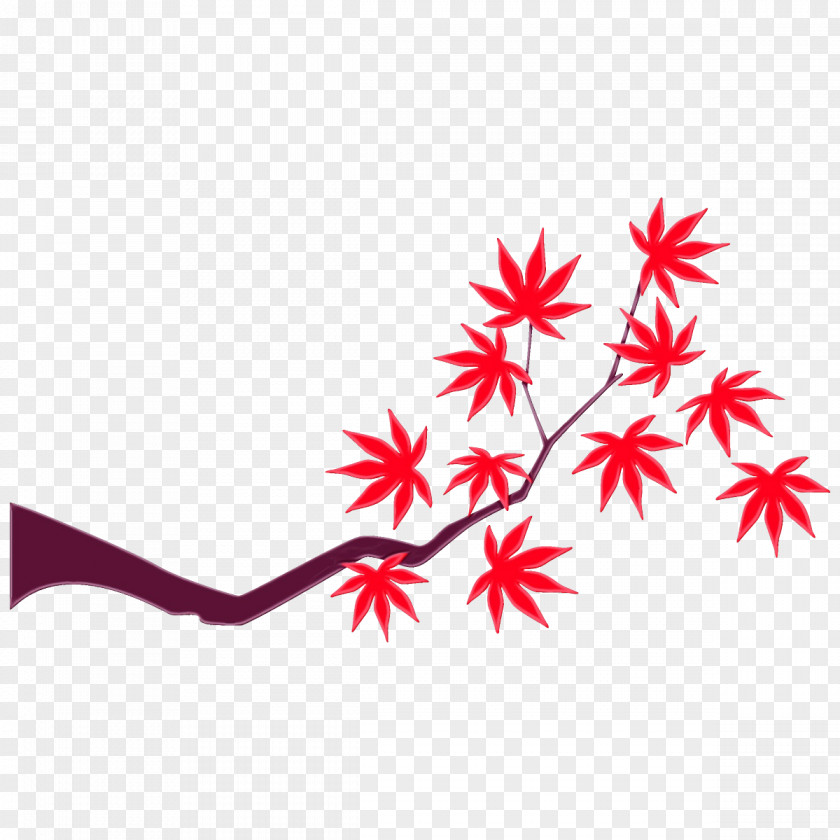 Maple Leaf PNG