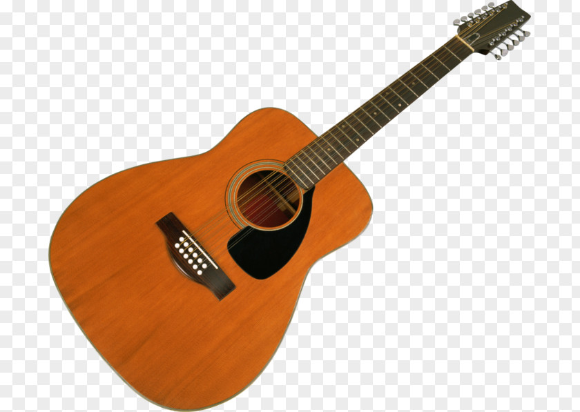 Musical Instruments Twelve-string Guitar Chordophone String PNG