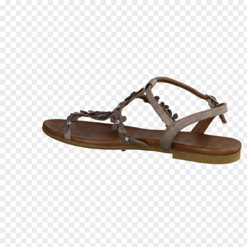 Sandal Slide Shoe Walking PNG