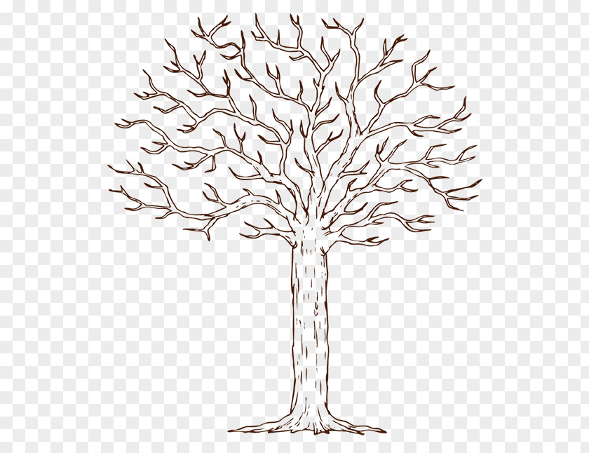 Tree Template Guestbook Microsoft Word Diagram PNG