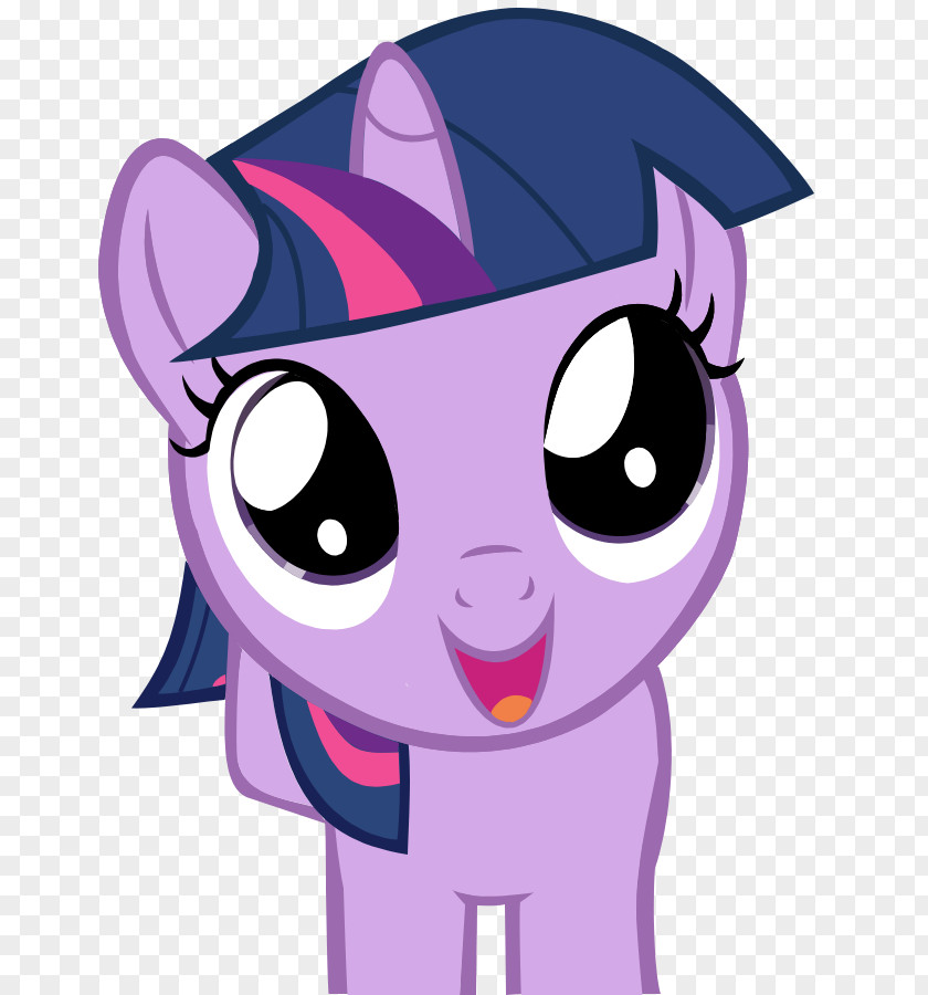 Youtube Twilight Sparkle Rainbow Dash YouTube Pony The Saga PNG