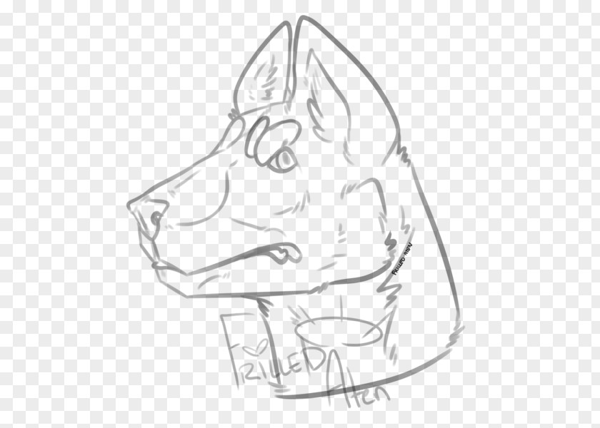 Atenção Snout Whiskers Dog Line Art Sketch PNG