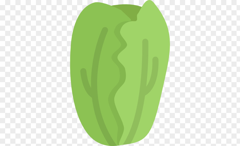 Cabbage Vegetable Desktop Wallpaper Computer PNG